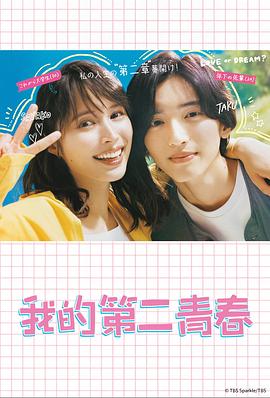 临沂seo软件有哪些平台